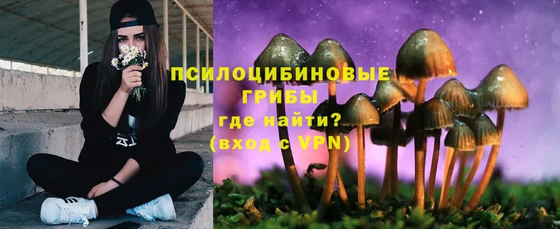 блэк спрут tor  Миасс  Псилоцибиновые грибы Psilocybe  как найти закладки 